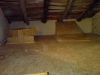 DSC00449.jpg