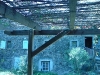 DSC00442.jpg