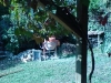 DSC00443.jpg