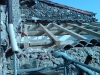 DSC00496.jpg