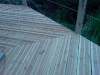 DSC00369.jpg