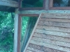 DSC00095.jpg