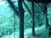 DSC00104.jpg