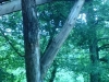 DSC00105.jpg