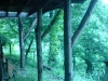 DSC00112.jpg