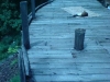 DSC00114.jpg
