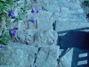 DSC00043.jpg