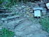 DSC00044.jpg