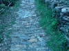 DSC00049.jpg