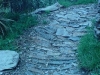DSC00050.jpg