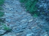 DSC00051.jpg