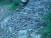 DSC00052.jpg