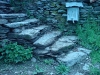 DSC00053.jpg