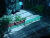 DSC00163.jpg