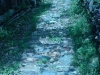 DSC00165.jpg