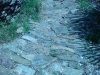 DSC00166.jpg