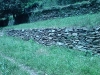 DSC00167.jpg