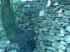 DSC00168.jpg