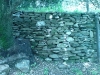 DSC00169.jpg