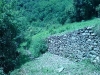 DSC00170.jpg