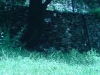 DSC00171.jpg
