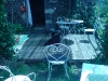 dsc00164.jpg