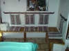dsc00595.jpg