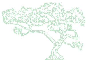arbre_vert